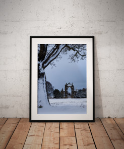 To buy a print or any of the below please click on the images